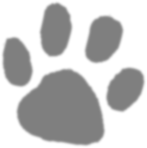 Faded Paw Print Clipart (594x597), Png Download