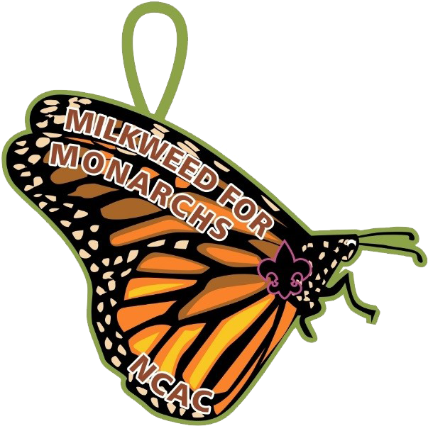 National Capital Area Council - Monarch Butterfly Clipart (627x637), Png Download