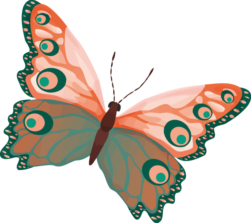 All Photo Png Clipart - Fjäril Transparent (841x750), Png Download