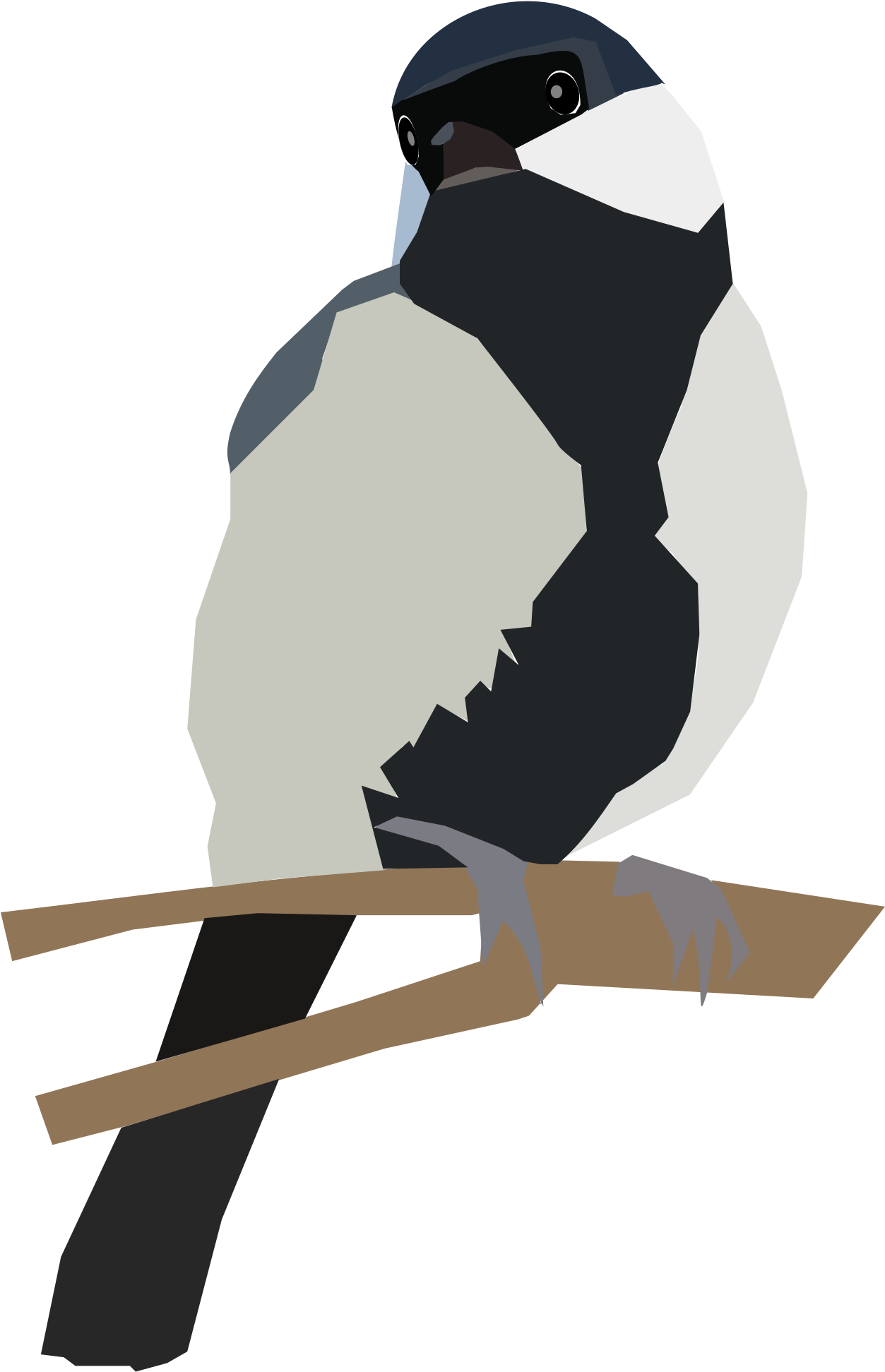 Japanese Tit On A Twig - Icon Clipart (667x1000), Png Download