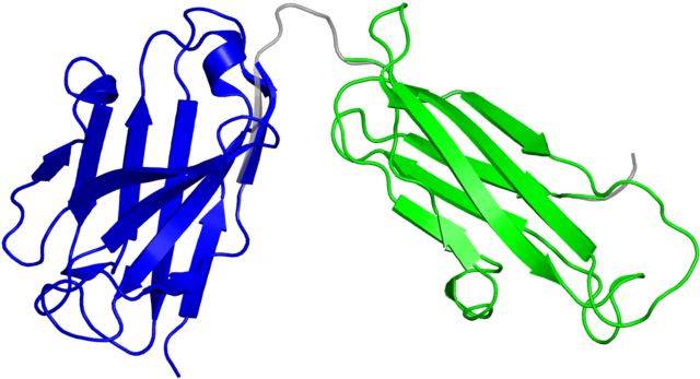 Illustration Clipart (800x800), Png Download