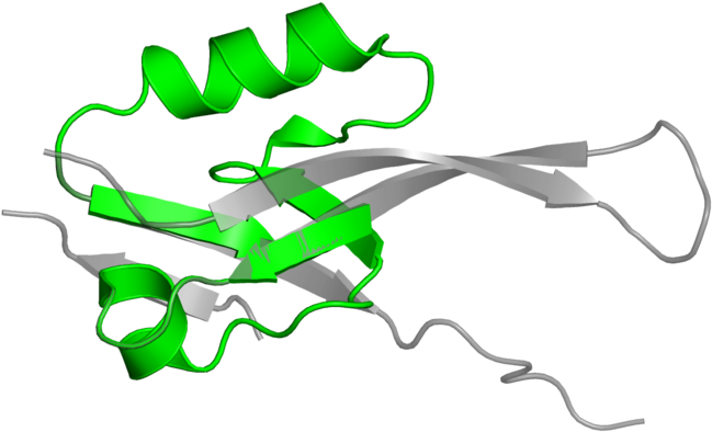 Illustration Clipart (800x800), Png Download