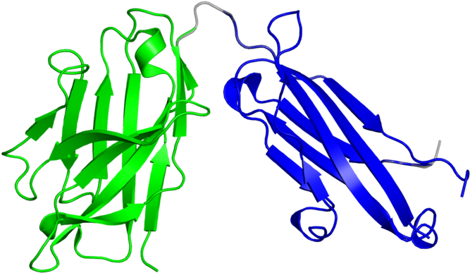 Illustration Clipart (800x800), Png Download