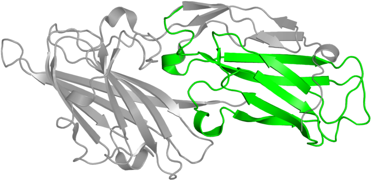 Illustration Clipart (800x800), Png Download