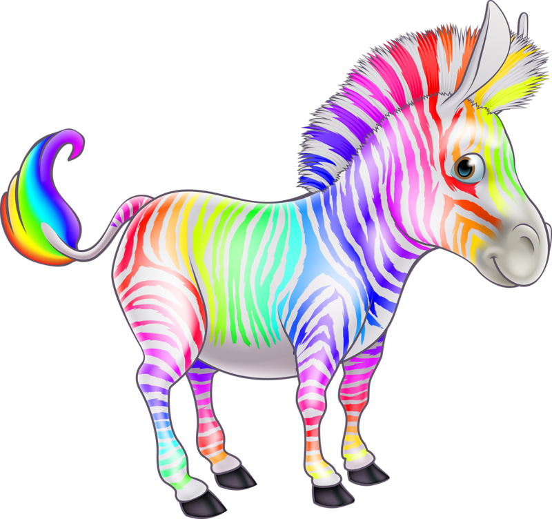 Rainbow Zebra Clipart (800x752), Png Download