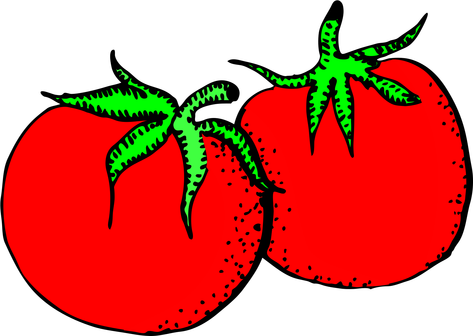 Tomatoes Clipart - Png Download (800x569), Png Download