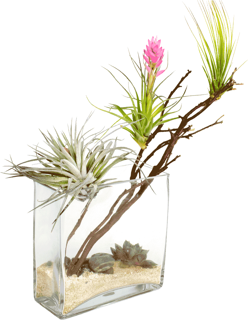 Desert Oasis Png - Desert Clipart (1024x1024), Png Download