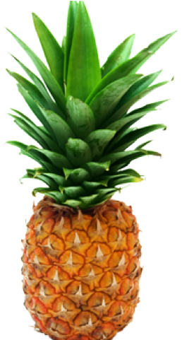 Pineapple Png Transparent Images - Transparent Pineapple Clipart (640x480), Png Download