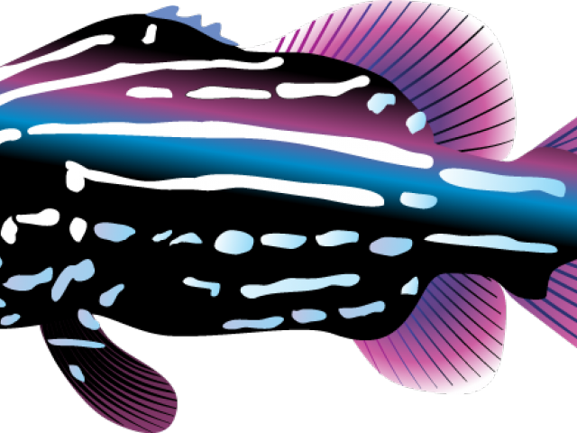 Tropical Fish Clipart Teacher - Decal Tropical Fish Aquarium Car Window Jet Ski D217 - Png Download (640x480), Png Download