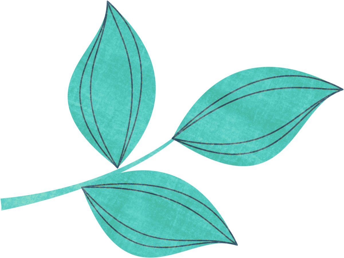 Фото, Автор Missis - Clip Art - Png Download (1210x909), Png Download