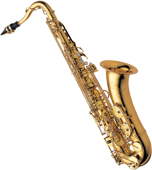 Saxophone - Yanagisawa Two10 Professional Tenor Saxophone (t-w010) Clipart (600x600), Png Download