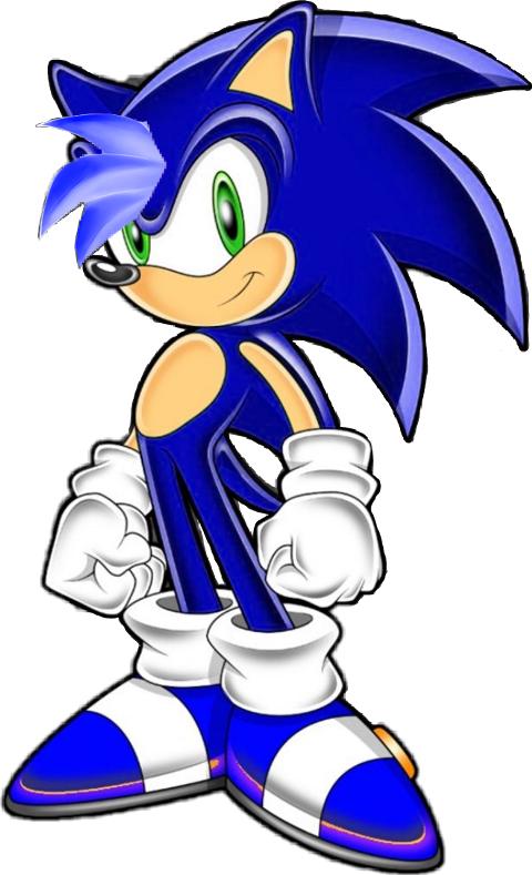 Sonic The Hedgehog Clipart (480x789), Png Download