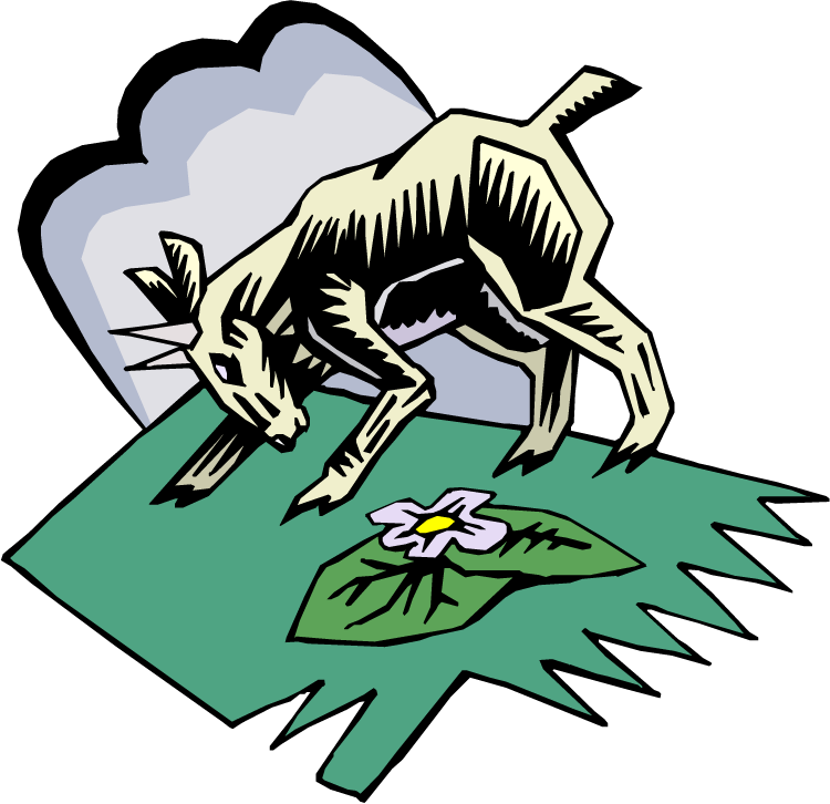 Boer Goat Clipart High Quality Cliparts 4 Free - Lenagold Ru Kopoba - Png Download (750x726), Png Download