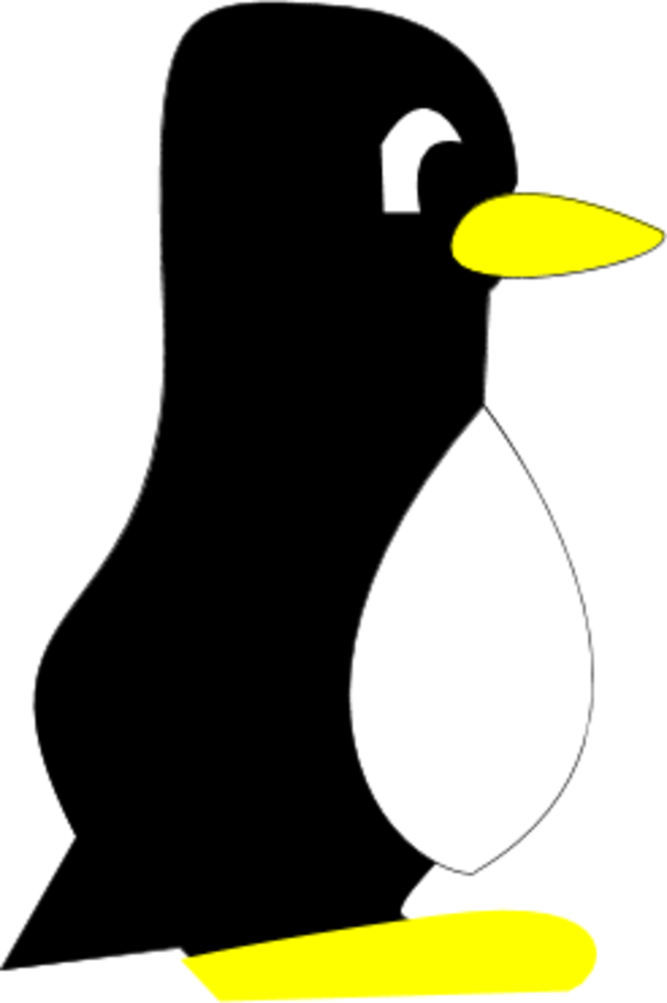 Penguin Clipart Side View - Penguin Cartoon Side View - Png Download (600x902), Png Download