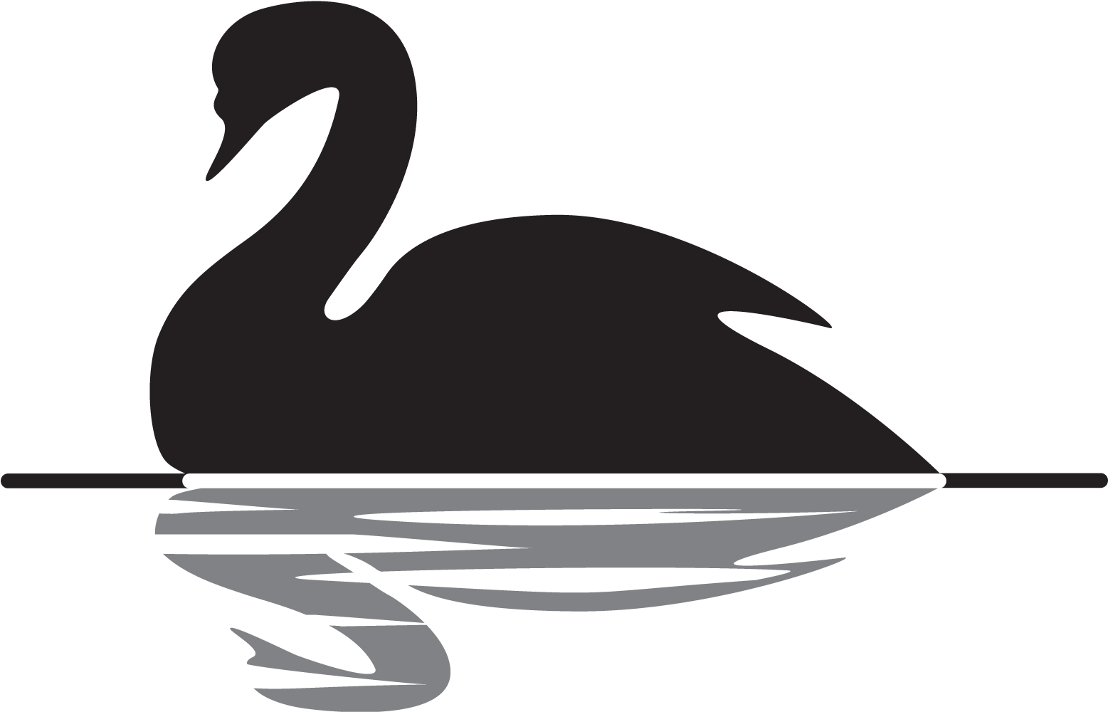 Black Swan Clipart Clip Art - Advaita Vedanta - Png Download (1592x1028), Png Download