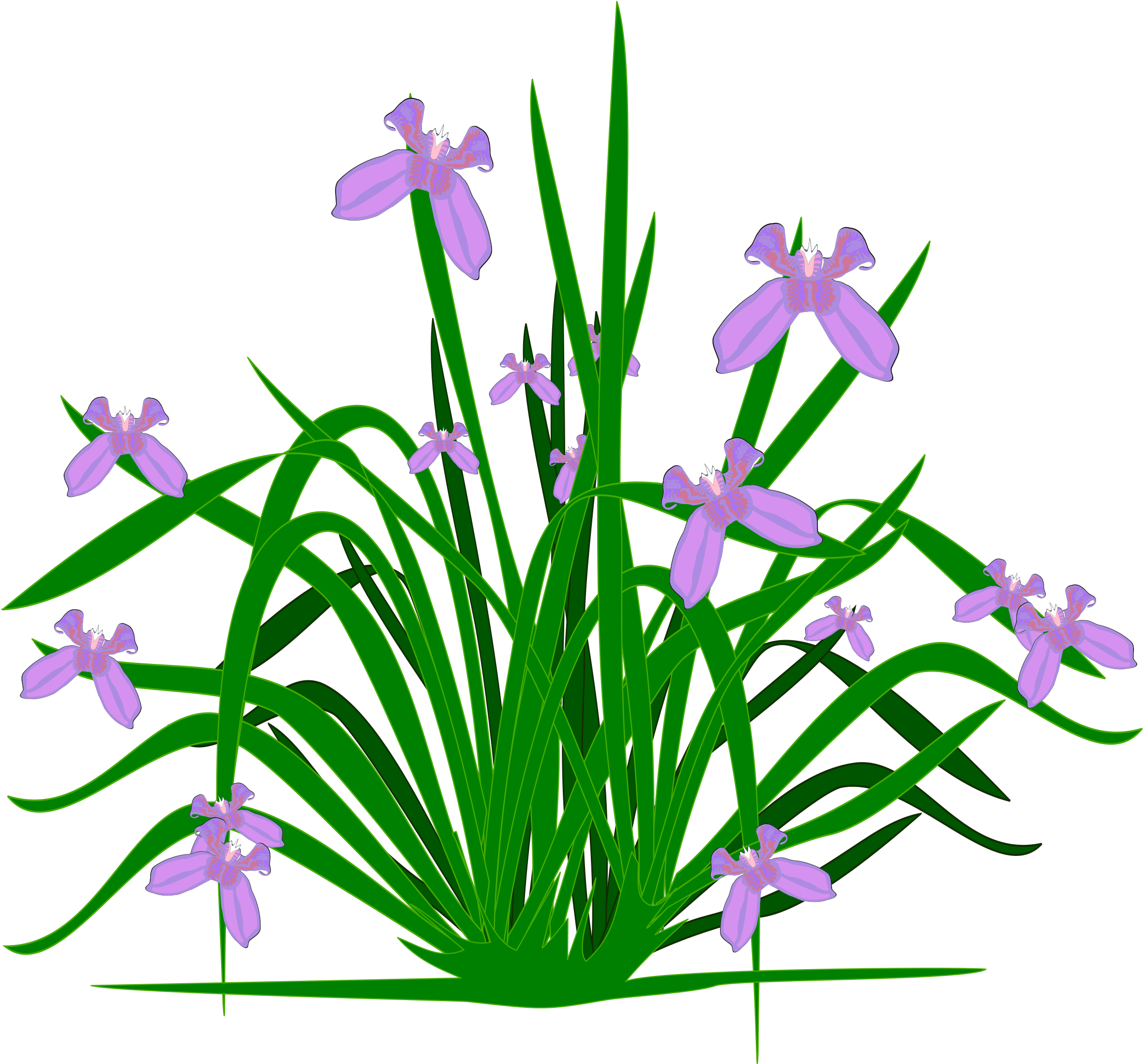 Bushes Clipart Fern - Vasos De Plantas Aquaticas Vetor Png Transparent Png (2400x2400), Png Download