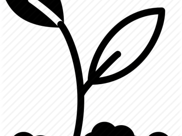 Soil Clipart Need Plant - Plant In Soil Icon - Png Download (640x480), Png Download