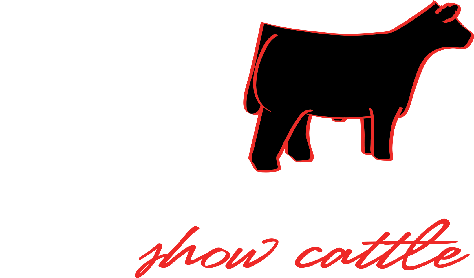 Cow Clip Art Logo - Show Cattle Logo - Png Download (1744x1028), Png Download