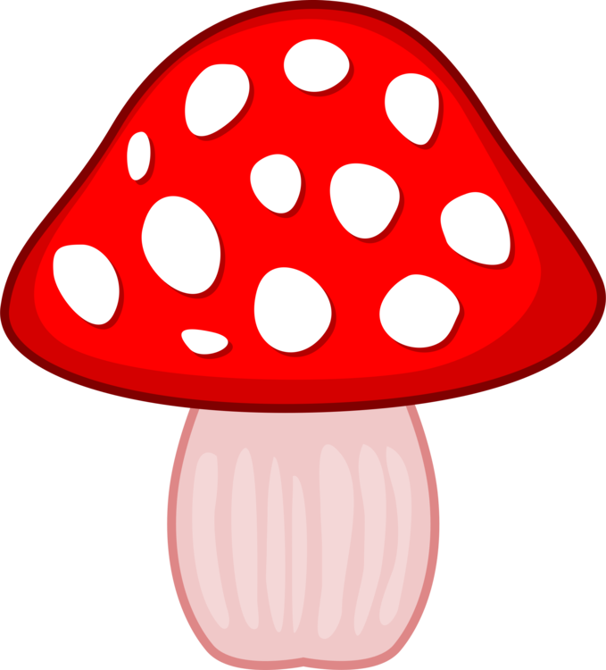 Food Mushroom Technical Support - Portable Network Graphics Clipart (679x750), Png Download