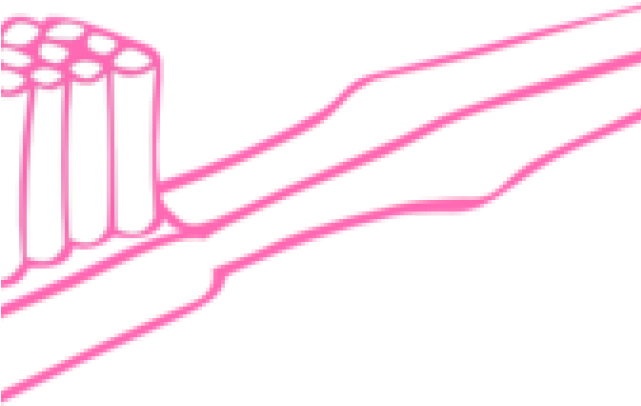 Toothbrush Clipart Pink Toothbrush - Toothbrush Black And White Coloring - Png Download (640x480), Png Download