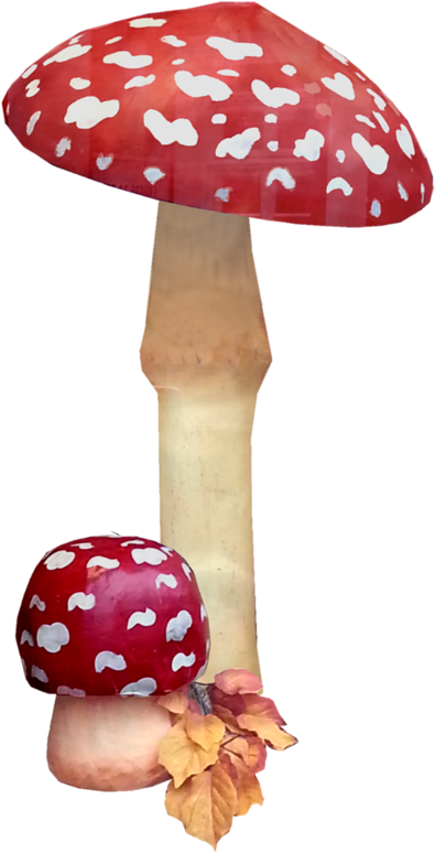 Clip Art, Mignonne - Mushroom - Png Download (517x800), Png Download