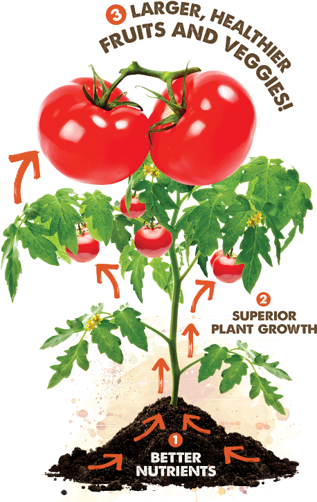 About Gardener's Living Soil - Window Garden Pepper Grow Kit - Easy To Grow Vegetable Clipart (480x734), Png Download