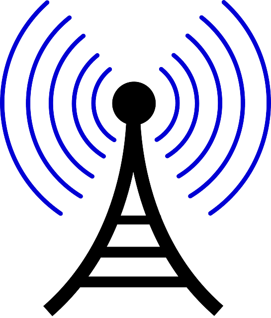 How To Use Kal Software To Workout The Ppm Frequency - Radio Waves Clipart - Png Download (545x640), Png Download