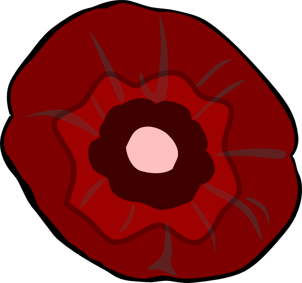 Poppy Clip Art N6 - Circle - Png Download (600x562), Png Download