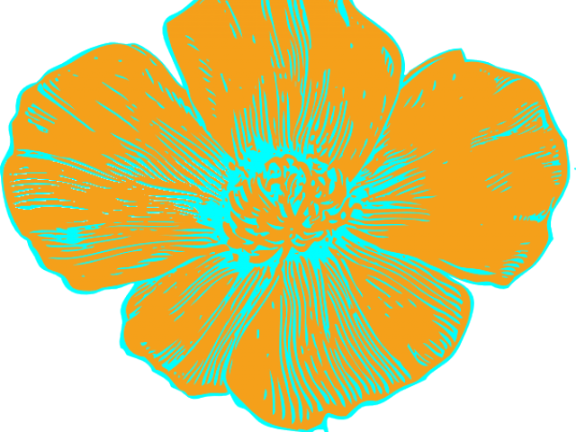 Flower Clipart (640x480), Png Download