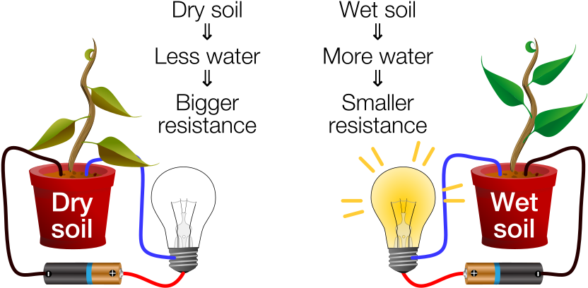 Dry-wet Soil Diagram - Getting To Know Plants Clipart (870x450), Png Download