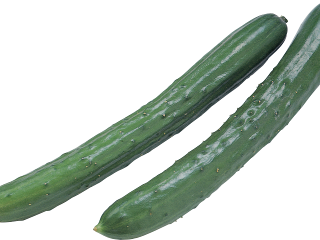 Zucchini Clipart Pipino - Cucumber Png Transparent Png (640x480), Png Download