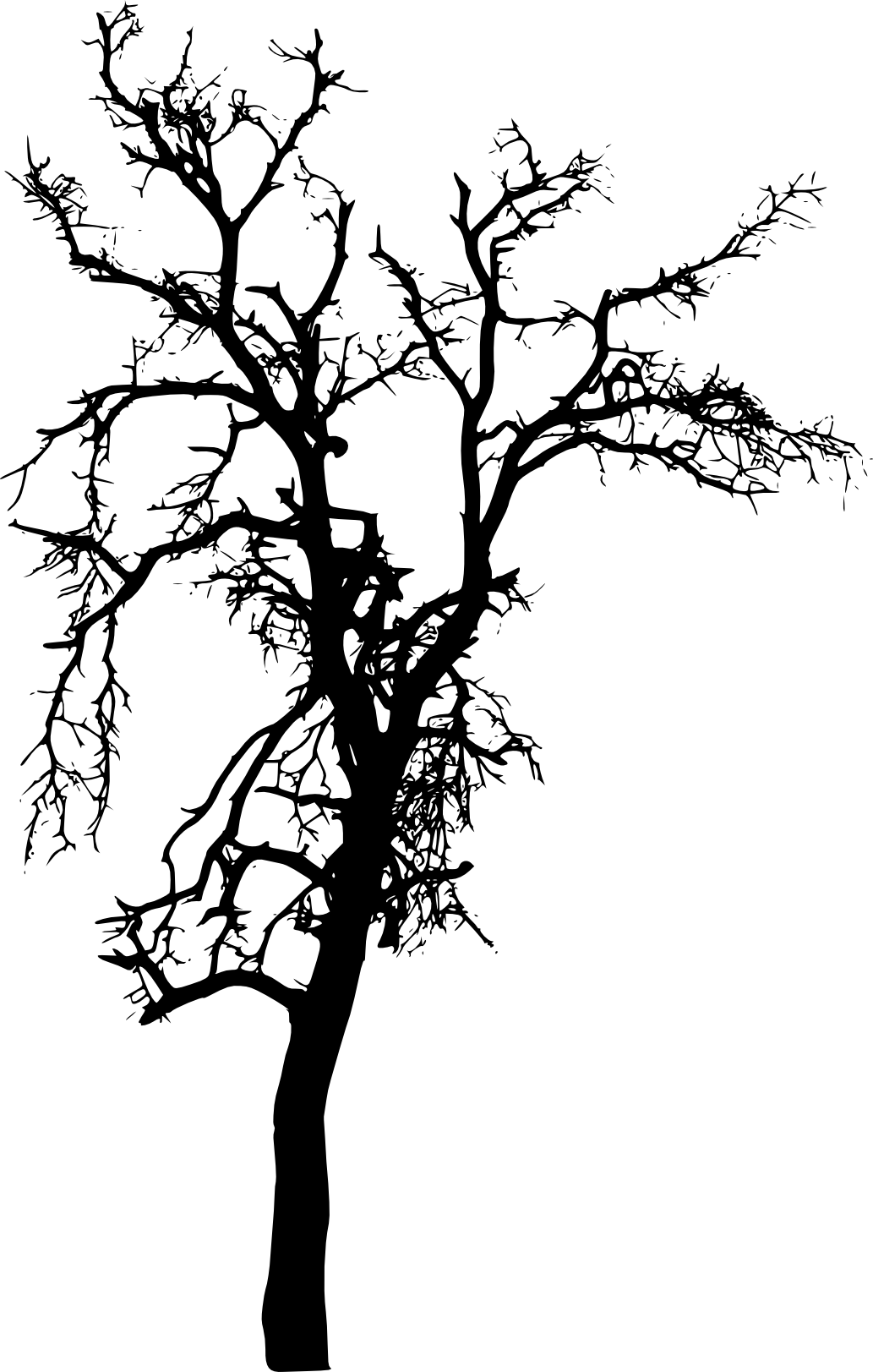 Free Download - Tree Silhouette Png Clipart (1033x1623), Png Download