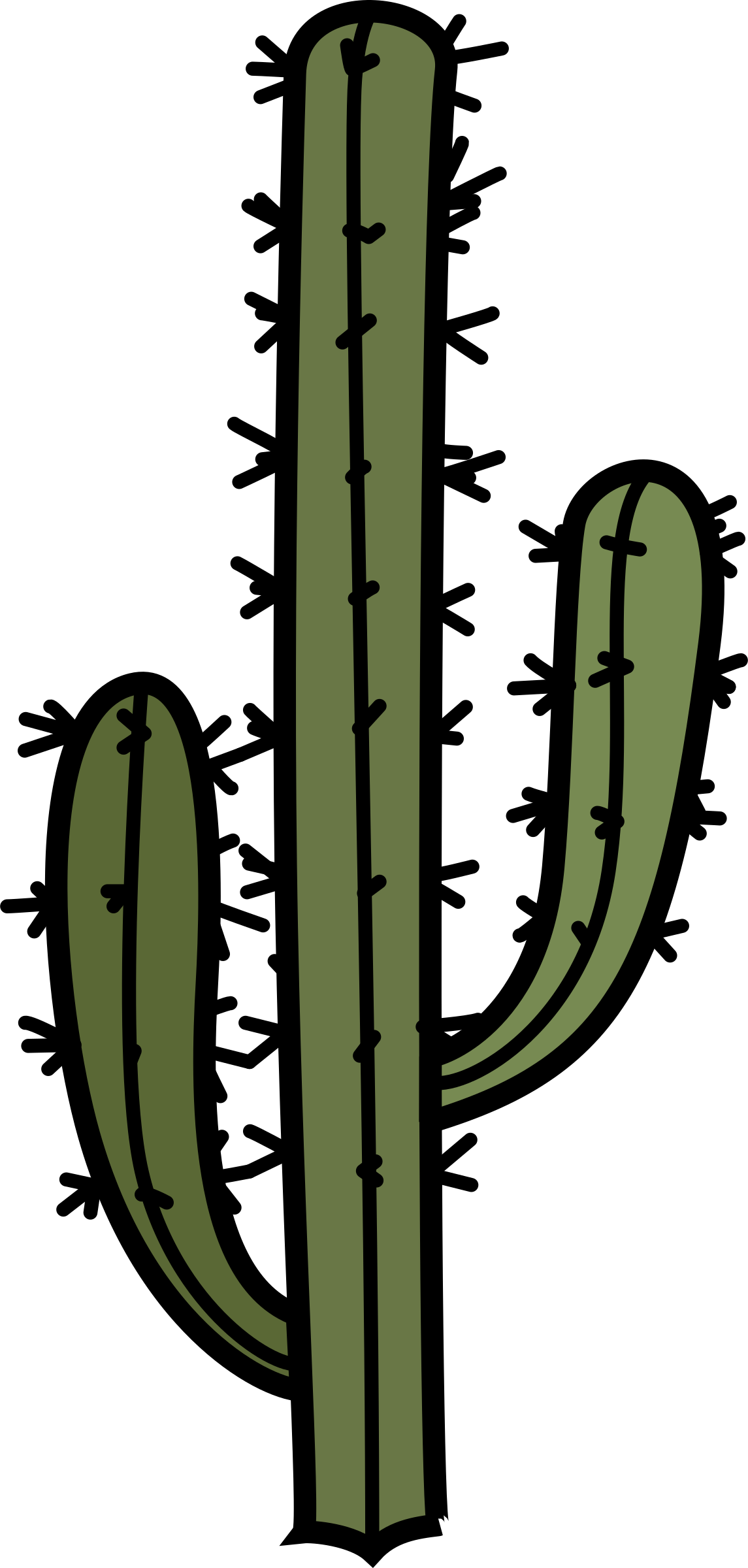 Big Image - Tall Cactus Clip Art - Png Download (1145x2400), Png Download