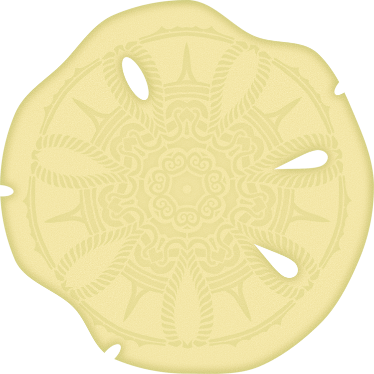 Sand Dollar Skeleton Computer Icons Animal - Skeleton Clipart (750x750), Png Download