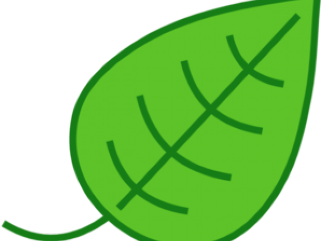 Green Leaves Clipart Leavs - Leaf Clipart - Png Download (640x480), Png Download