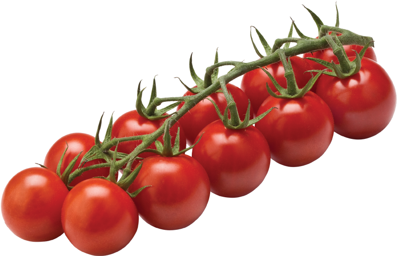 Tomato Cherry On Vine Clipart (800x560), Png Download