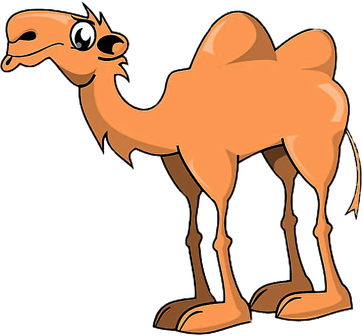 Animals Camel Hump Humpday Freetoedit - Camel Two Humps Cartoon Clipart (710x660), Png Download