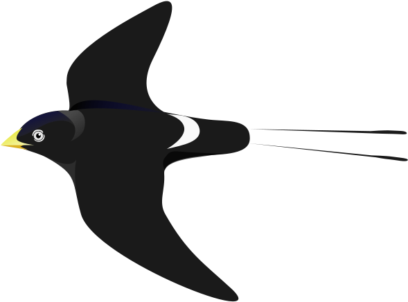 Clipart Info - White Eyed River Martin - Png Download (712x599), Png Download