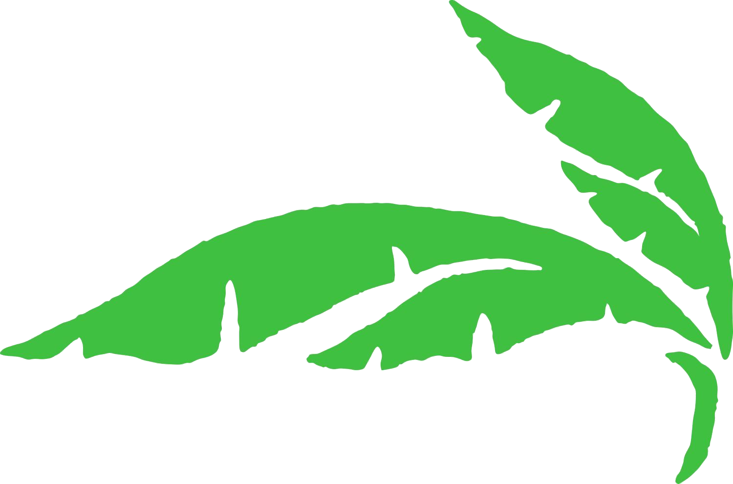 Heritage Palm Golf & Country Club 10420 Washingtonia - Heritage Palms Clipart (1500x990), Png Download