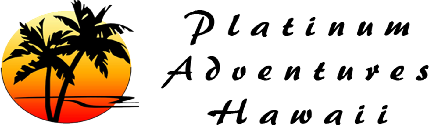 Platinum Adventures Hawaii - Palm Tree Sun Trucker Hat Mesh Cap Snapback Adjustable Clipart (1418x450), Png Download