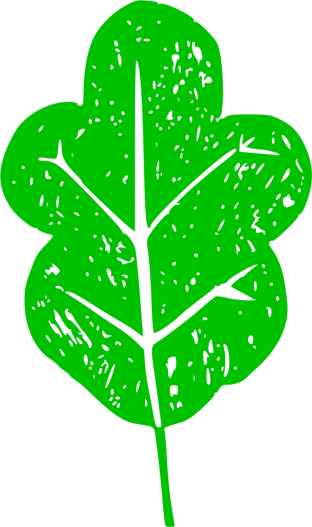 Medium Image - Clip Art - Png Download (566x800), Png Download