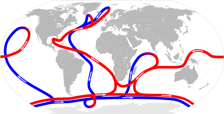 The Ocean Conveyor Transports Water And Heat Through - El Dorado Sim Cards Clipart (800x406), Png Download