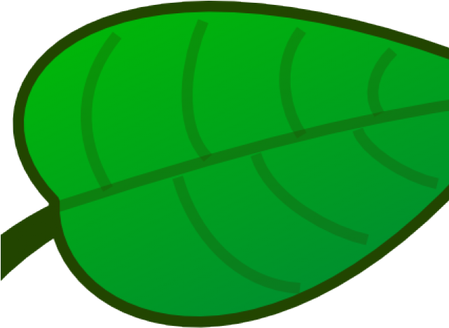Green Leaves Clipart Large Leaf - Png Download (640x480), Png Download