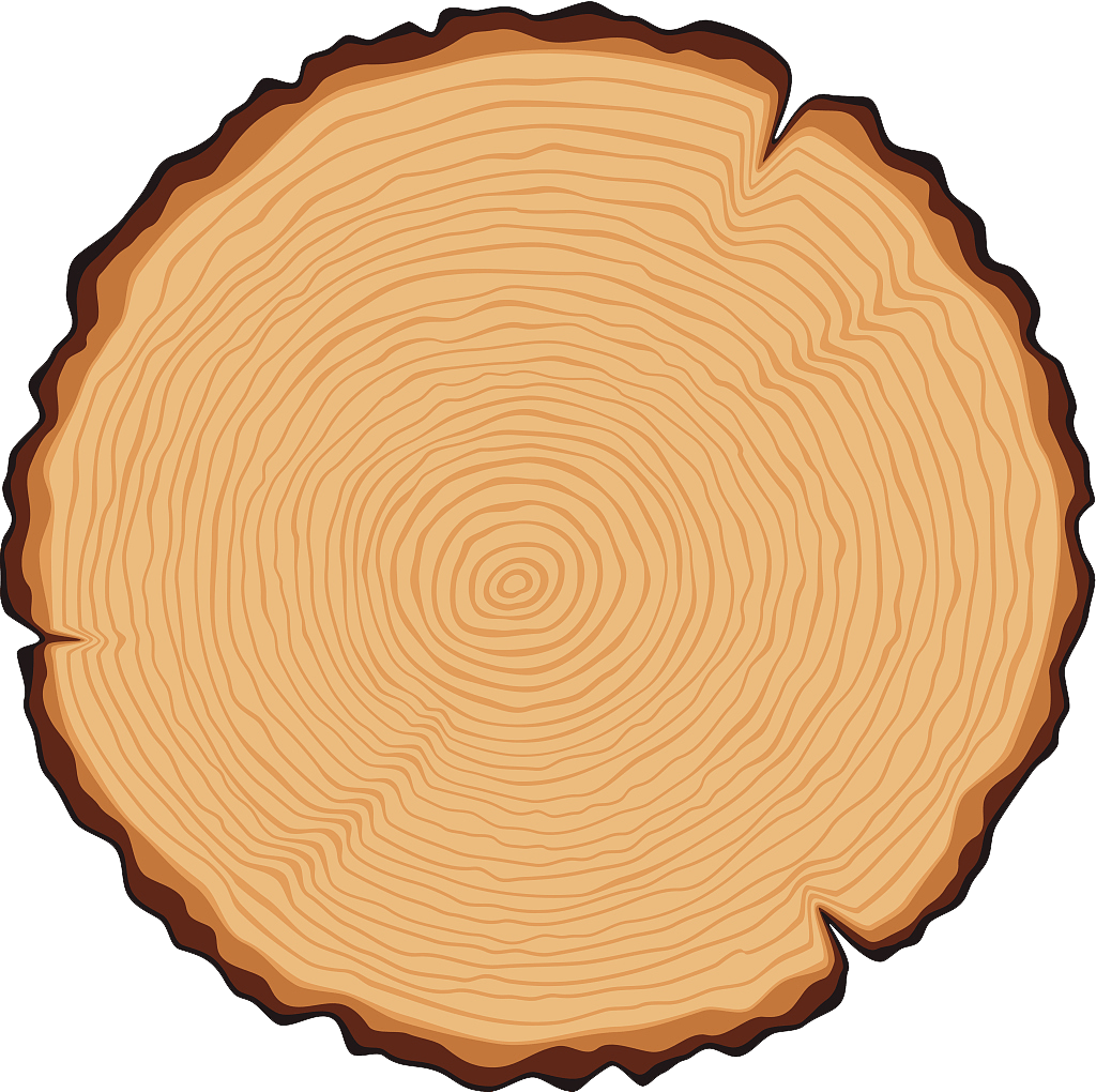 Carpentry, Art And Madness - Logo De Tronco Png Clipart (1024x1020), Png Download