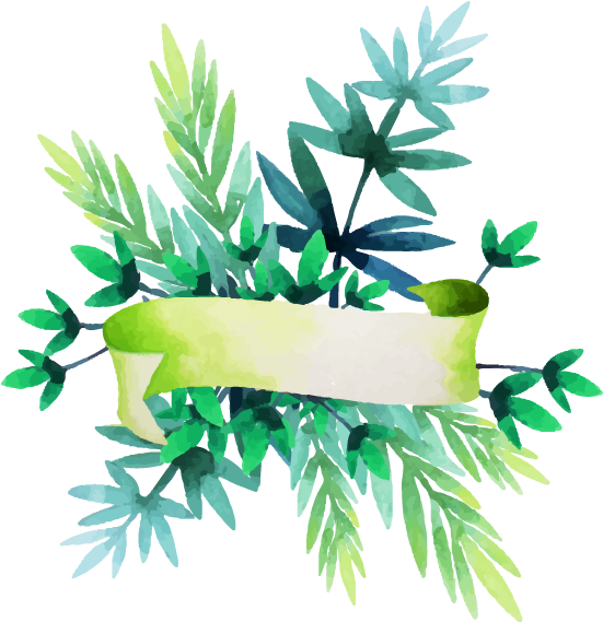 Ebola Virus Disease , Clinical Symptoms And Associated - Watercolor Painting Clipart (600x600), Png Download