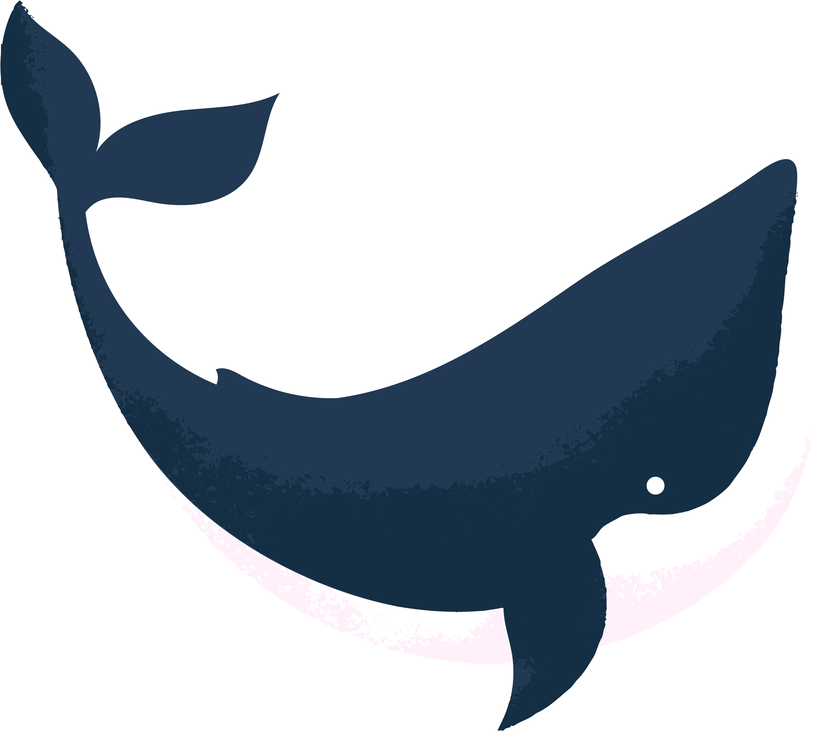 Orca Reviewed By Abbie Cheesman At Whale And Dolphin - Whales Clipart (3126x3126), Png Download