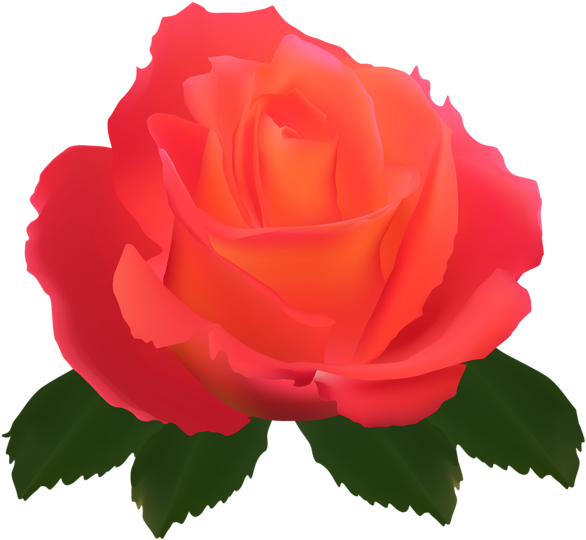 Discover Ideas About Clip Art - Garden Roses - Png Download (600x549), Png Download