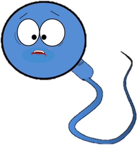 Picture Clipart (592x584), Png Download