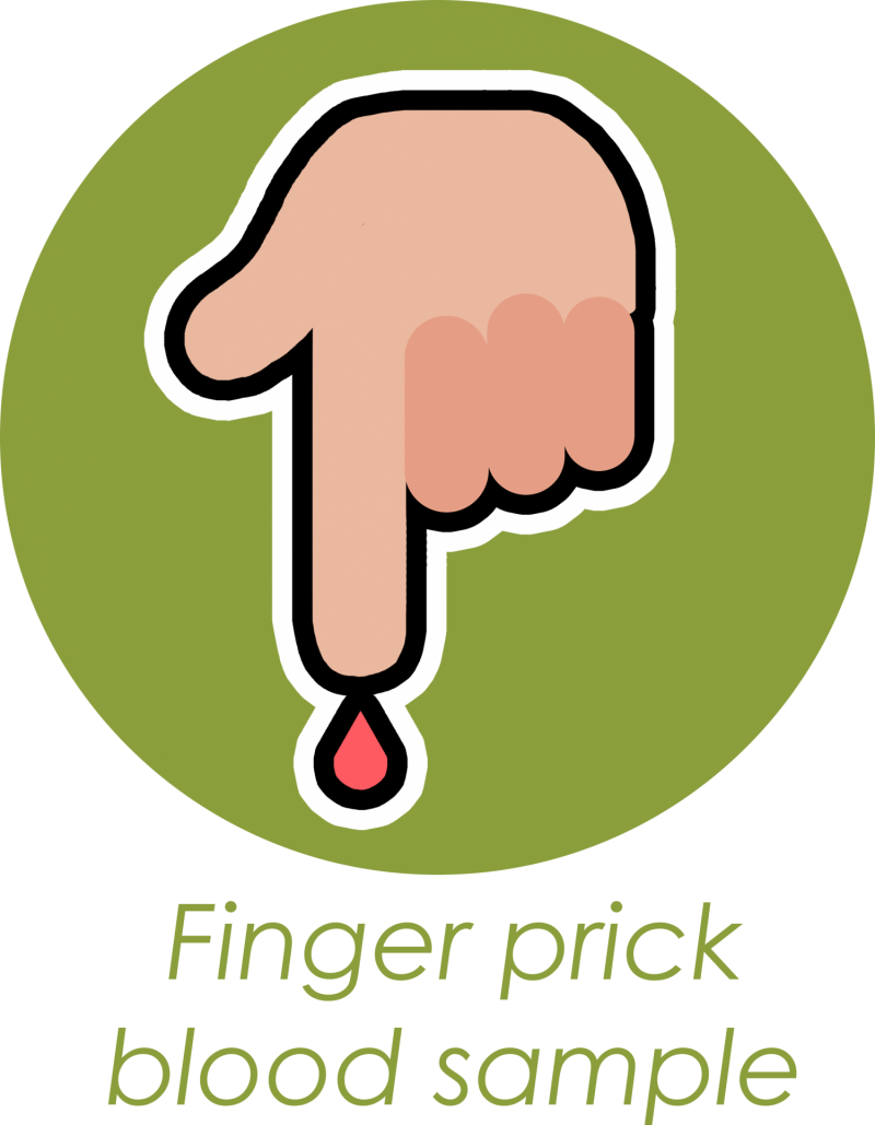 Liver Function Test 29114856 S - Health Clipart (800x1029), Png Download