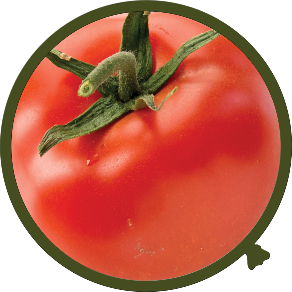 Walloon Tomato - Fruit And Vegetable Photo-wall Decals Clipart (1024x1024), Png Download